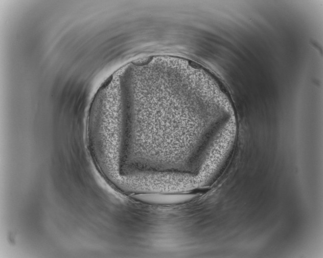 X0000101141528200807251014