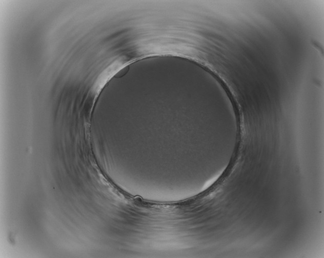 X0000101141529200807251014