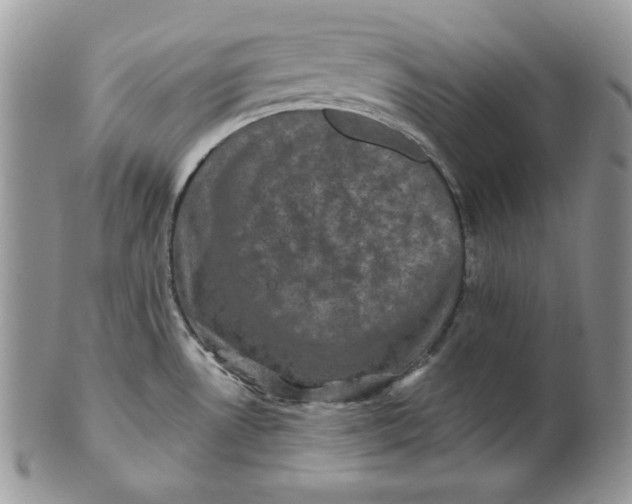 X0000101141530200807251014