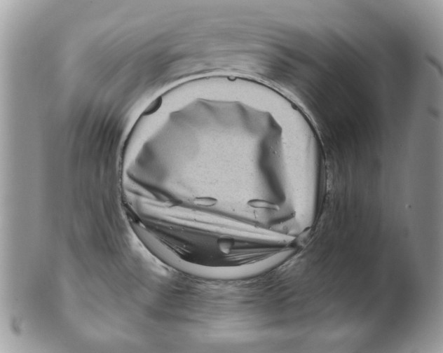 X0000101141532200807251014