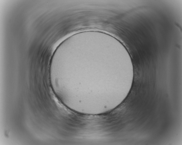 X0000101141534200807251015