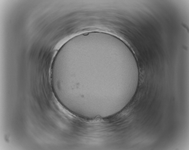 X0000101141535200807251015