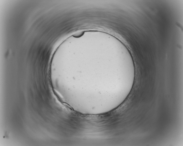 X0000101141536200807251015