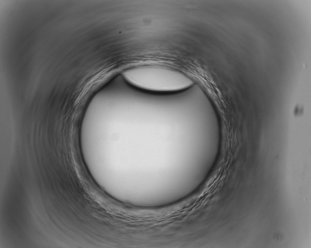 X0000101150001200806270811