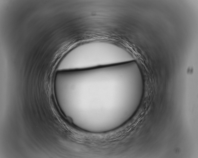 X0000101150002200806270811