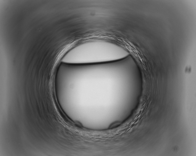 X0000101150003200806270811