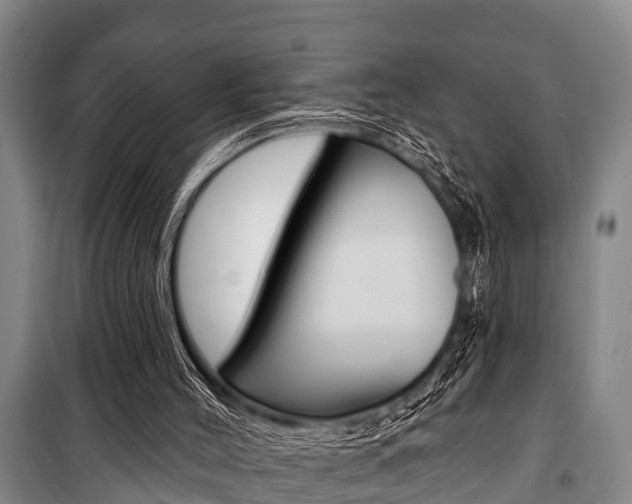 X0000101150004200806270811