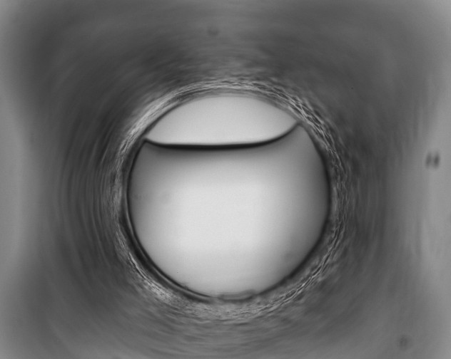 X0000101150005200806270811