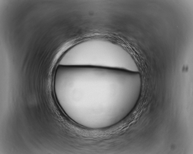 X0000101150006200806270811