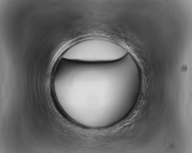 X0000101150007200806270811