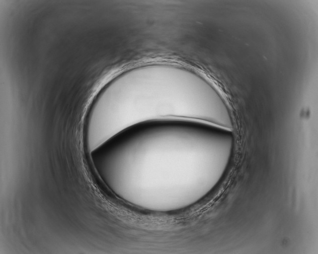 X0000101150008200806270811