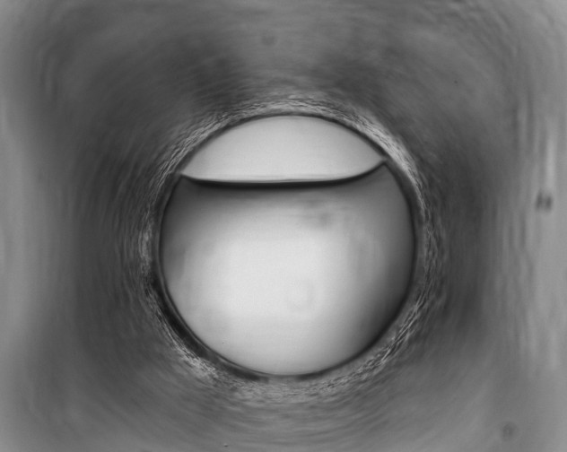 X0000101150009200806270811