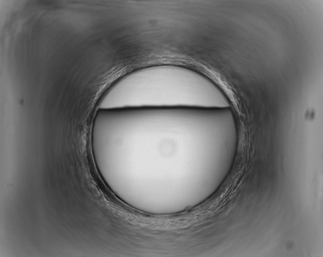 X0000101150010200806270811