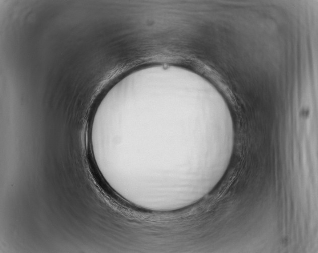 X0000101150011200806270811