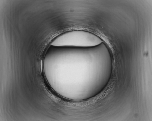 X0000101150013200806270811