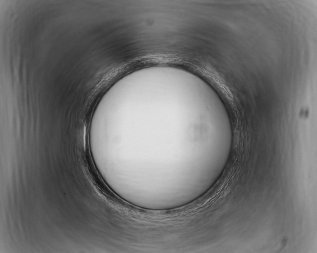 X0000101150014200806270811