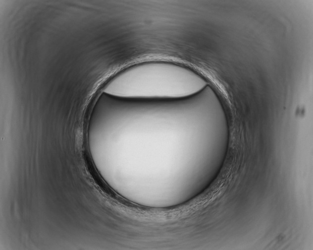X0000101150015200806270811