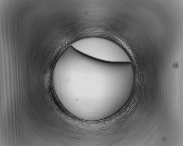 X0000101150018200806270811