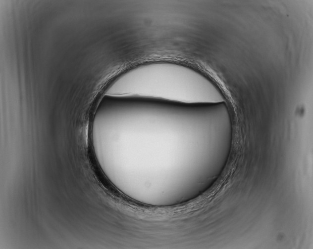 X0000101150019200806270811
