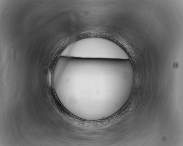 X0000101150022200806270810
