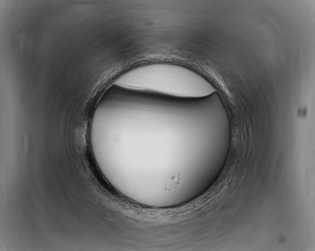 X0000101150023200806270810