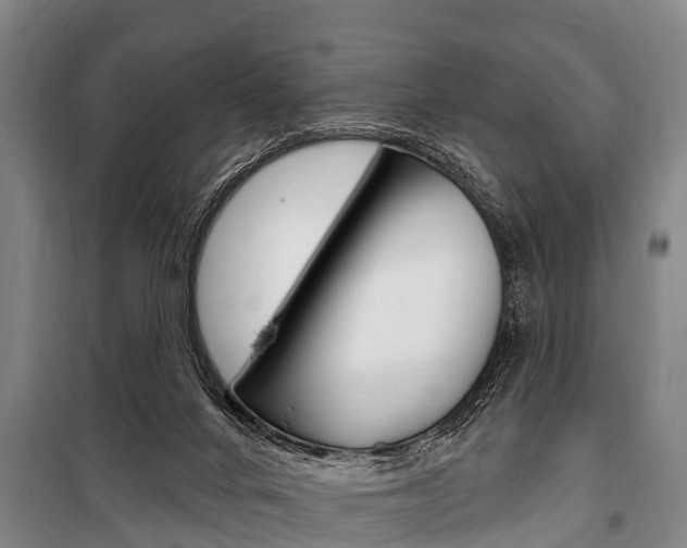 X0000101150024200806270810
