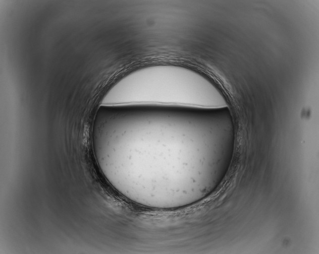 X0000101150025200806270810