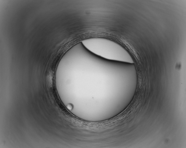 X0000101150026200806270810