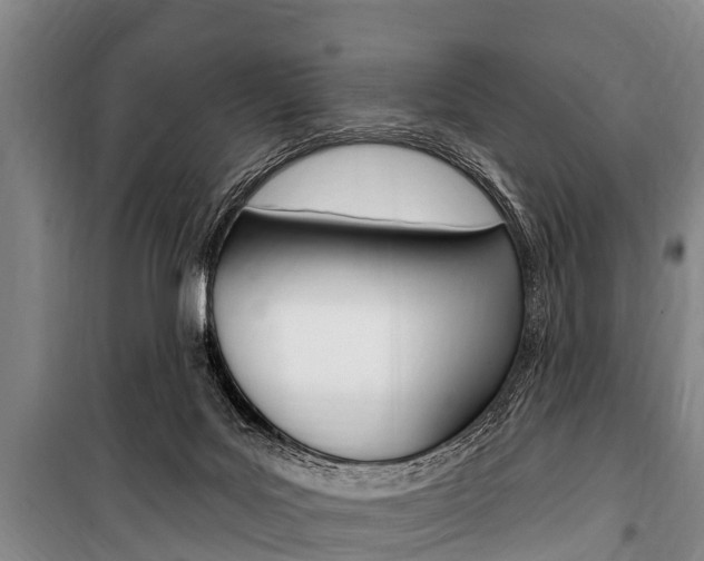 X0000101150027200806270810
