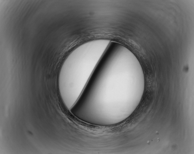 X0000101150028200806270810