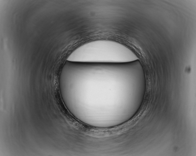 X0000101150029200806270810