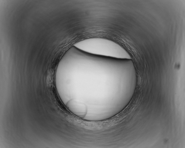 X0000101150030200806270810