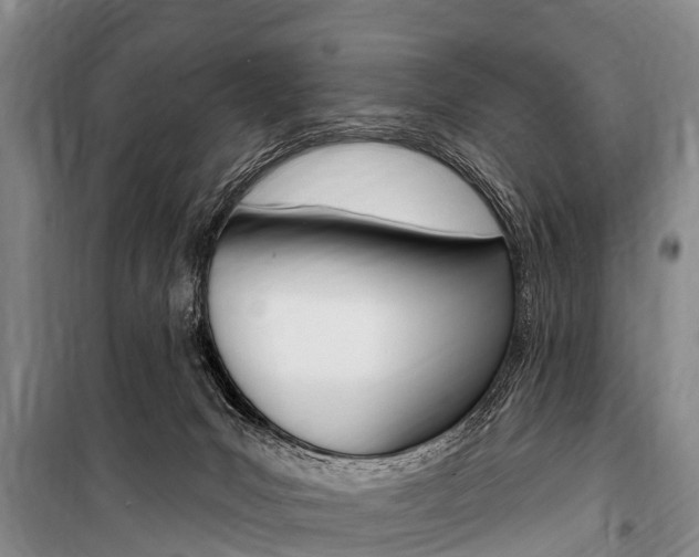 X0000101150031200806270810
