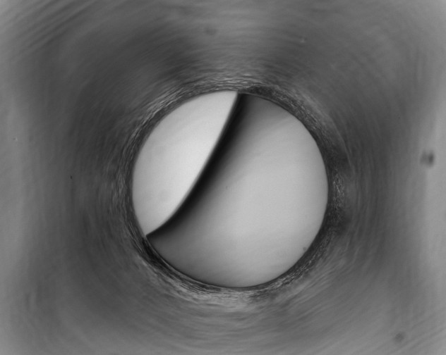 X0000101150032200806270810