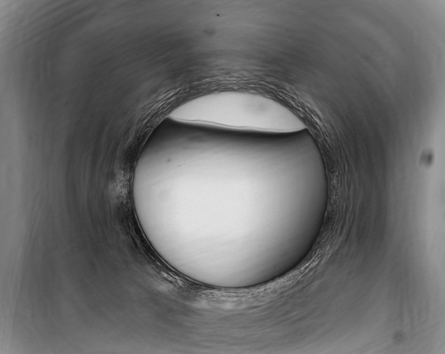 X0000101150033200806270810