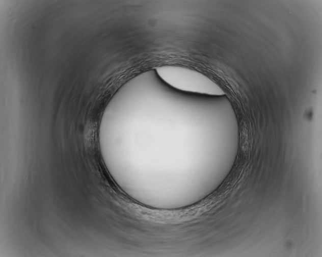 X0000101150034200806270810