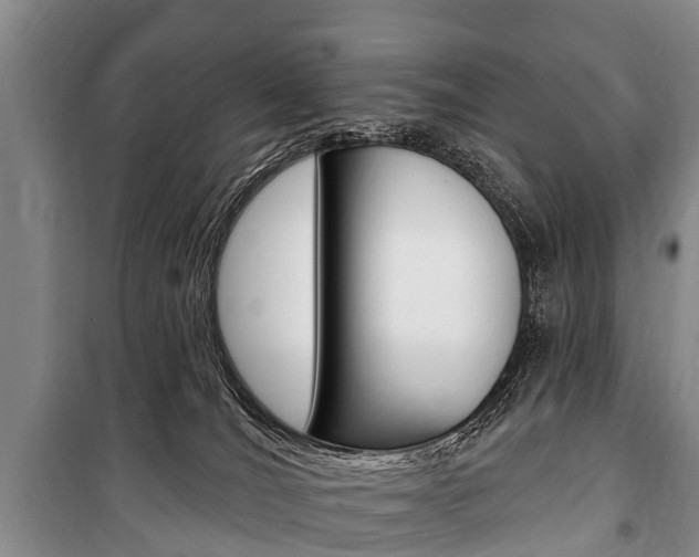 X0000101150036200806270810