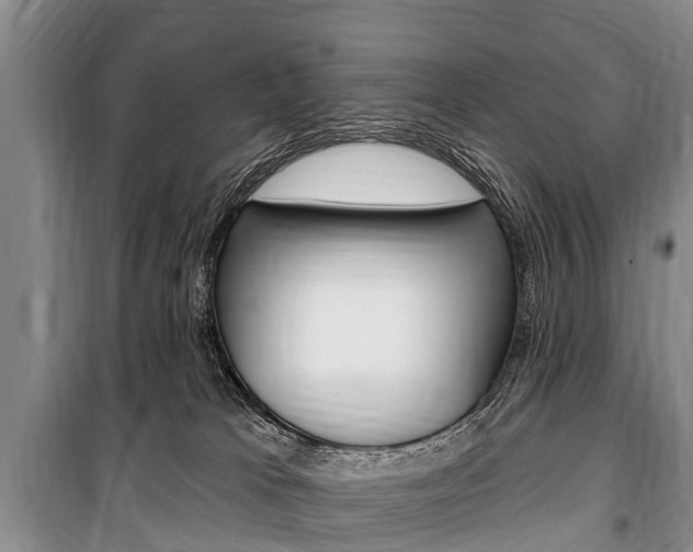 X0000101150037200806270810