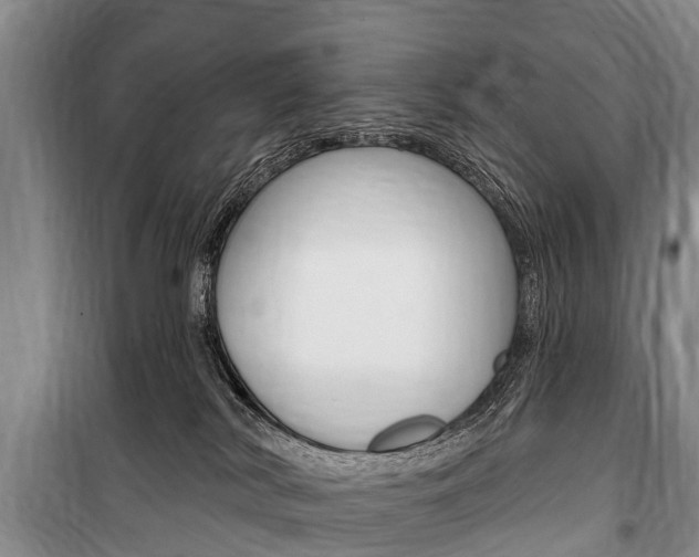 X0000101150038200806270810