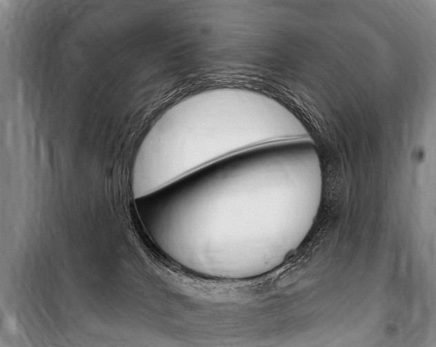 X0000101150040200806270810