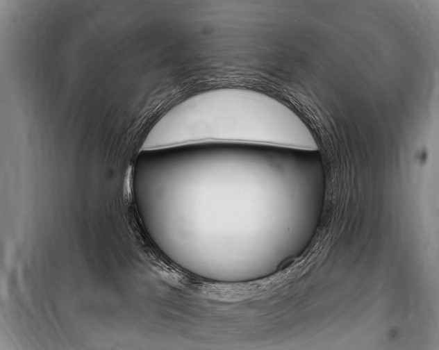 X0000101150041200806270810