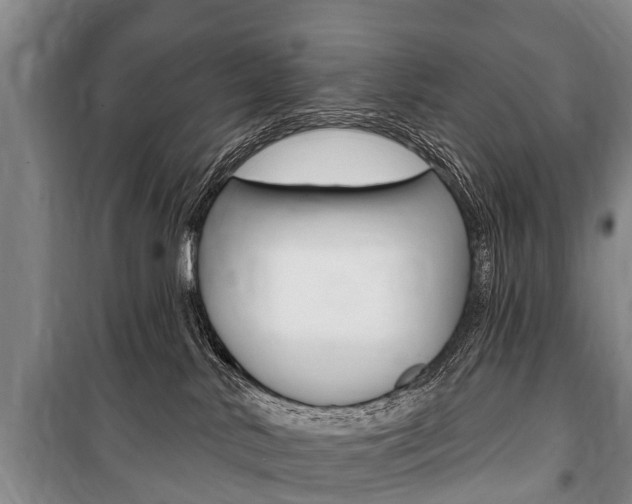 X0000101150042200806270810