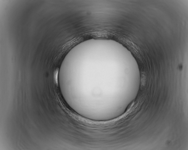 X0000101150047200806270810
