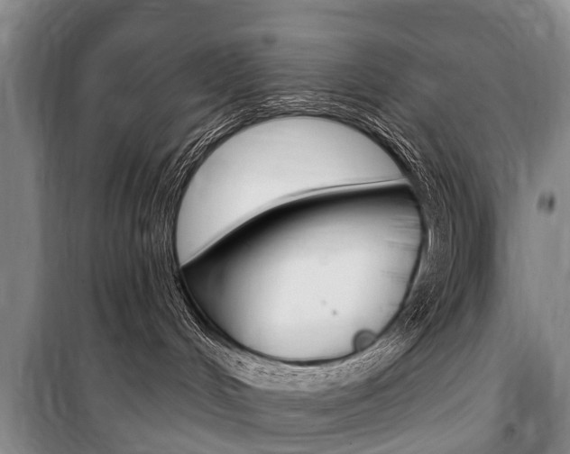 X0000101150048200806270810