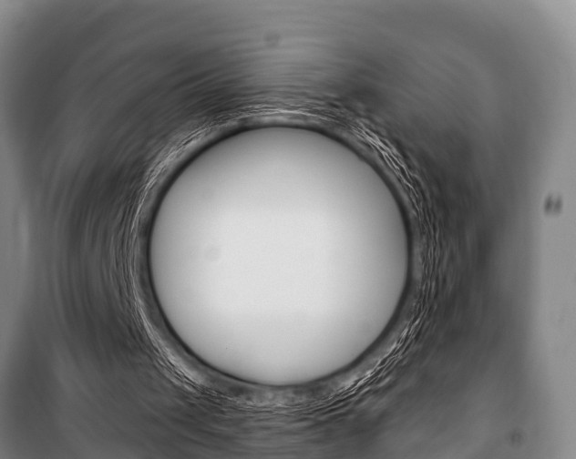 X0000101150049200806270809