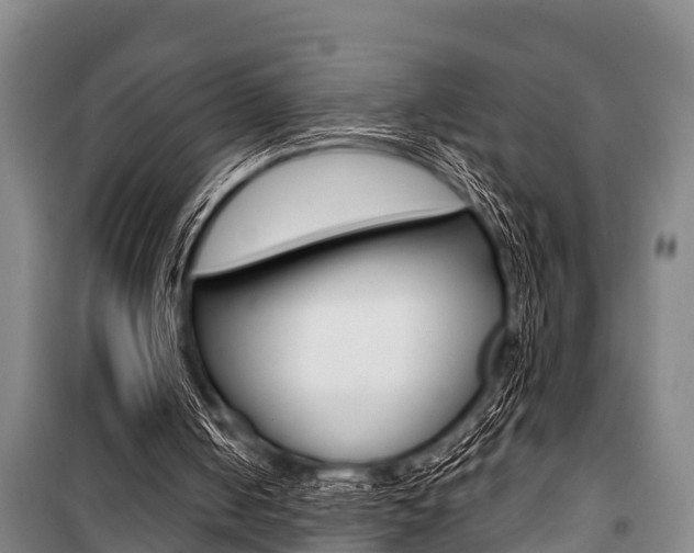 X0000101150050200806270809