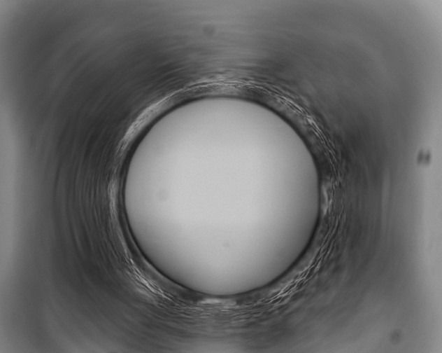 X0000101150051200806270809