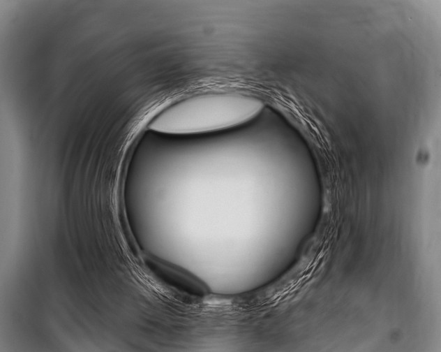 X0000101150052200806270809