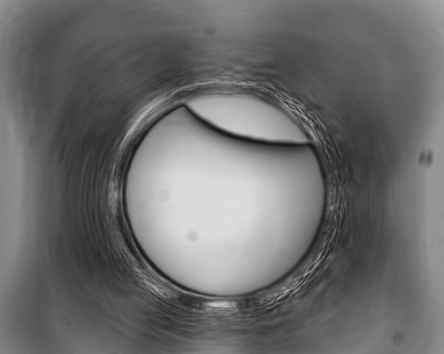 X0000101150053200806270809