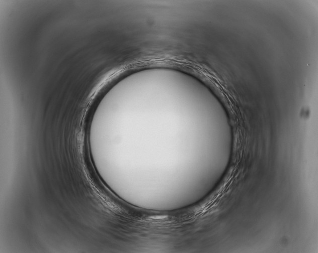 X0000101150054200806270810